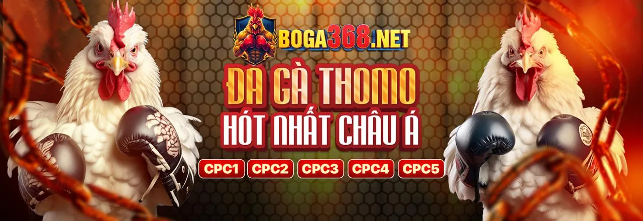 Đá Gà Trực Tuyến Nova88